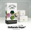 Hollands Hope - Dutch Passion