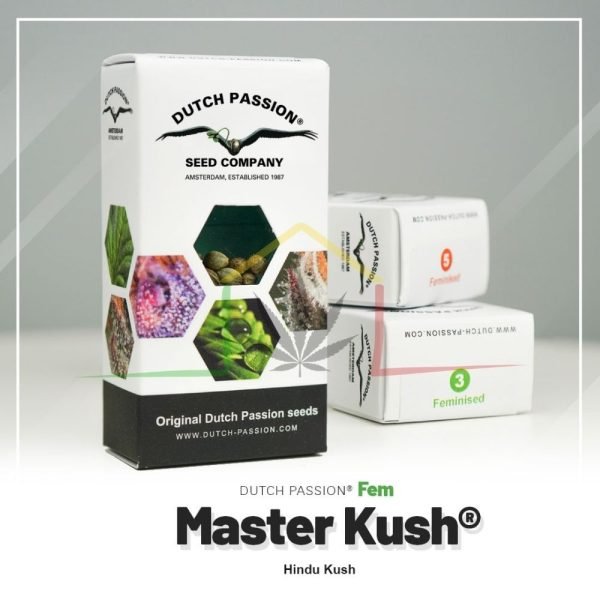 Master Kush - Dutch Passion