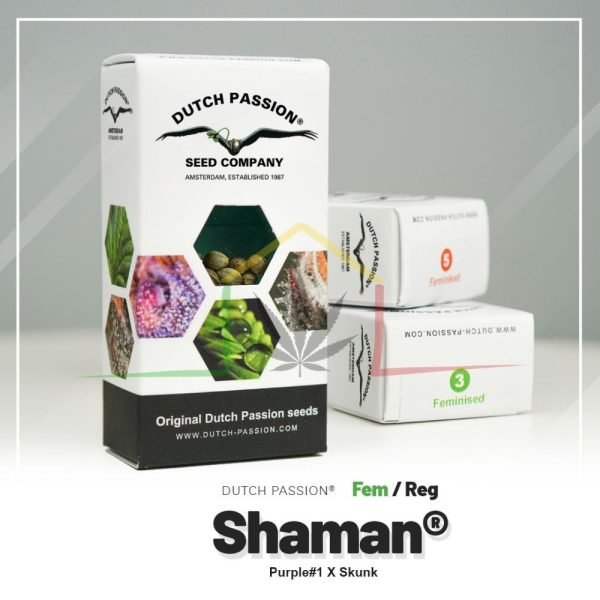 Shaman - Dutch Passion