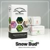 Snow Bud - Dutch Passion