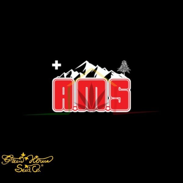 AMS - Green House Seeds
