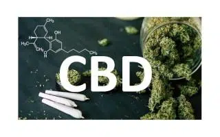 ¿Qué es el CBD (Cannabidiol)? Blog Cannábico | Themariashop