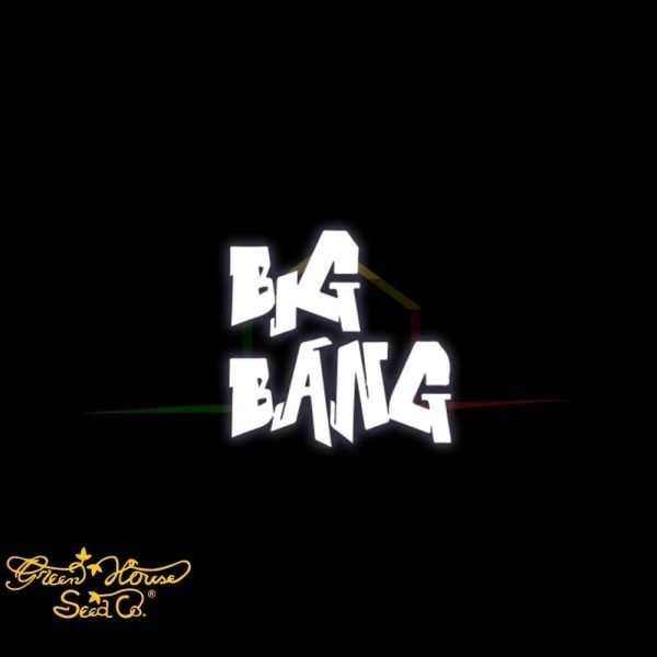 Big Bang - Green House Seeds
