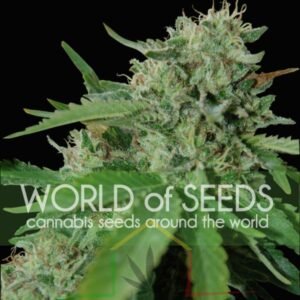 Brazil Amazonia - World Of Seeds