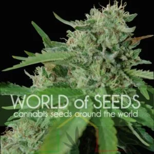Brazil Amazonia - World Of Seeds