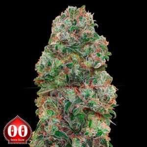 Bubblegum - 00 seeds