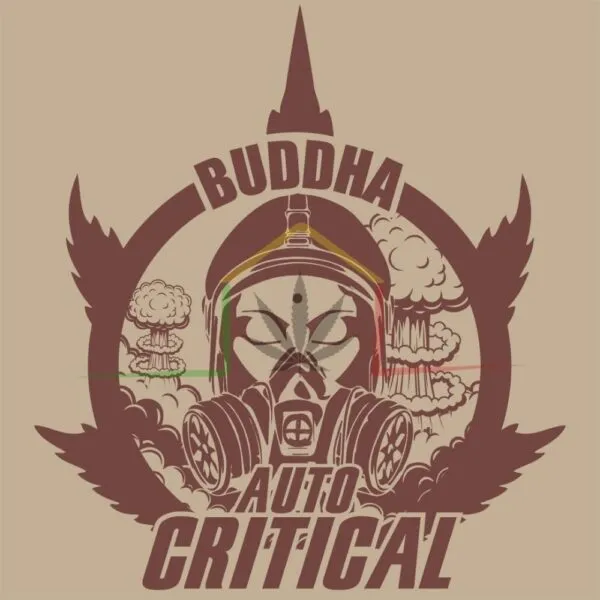 BUDDHA AUTO CRITICAL PACK