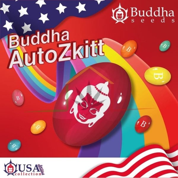 Buddha Auto Zkitt - Buddha Seeds