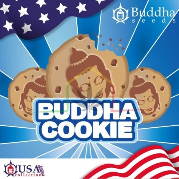 buddha cookies