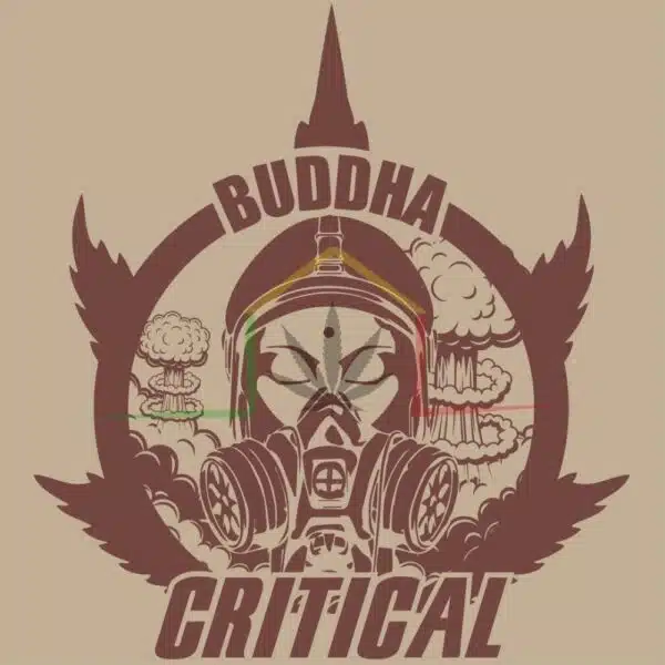 buddha Critical buddha seeds