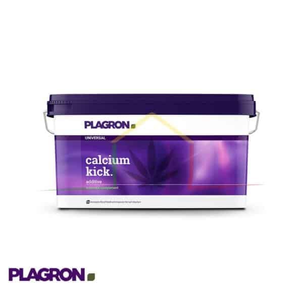 Calcium Kick