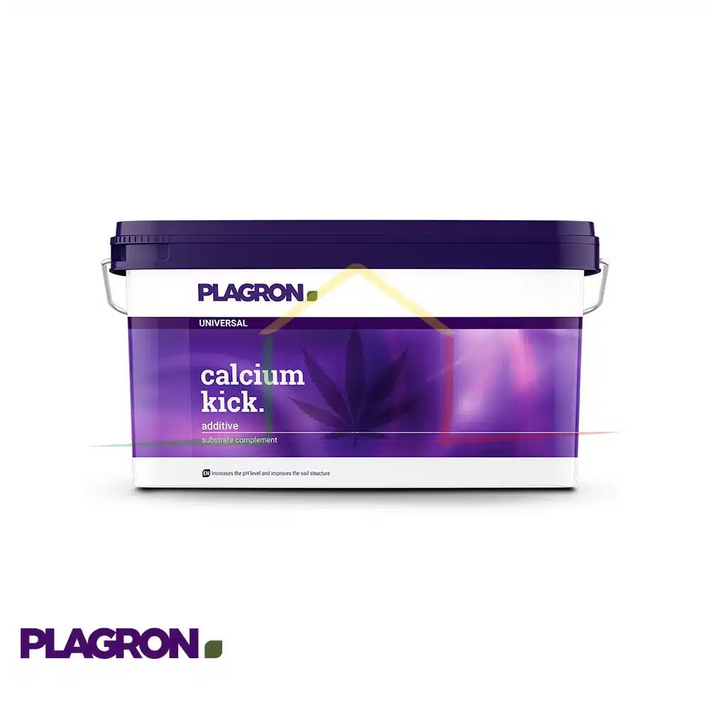 Calcium Kick