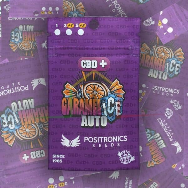 CBD + Caramelice Auto - Positronics Seeds