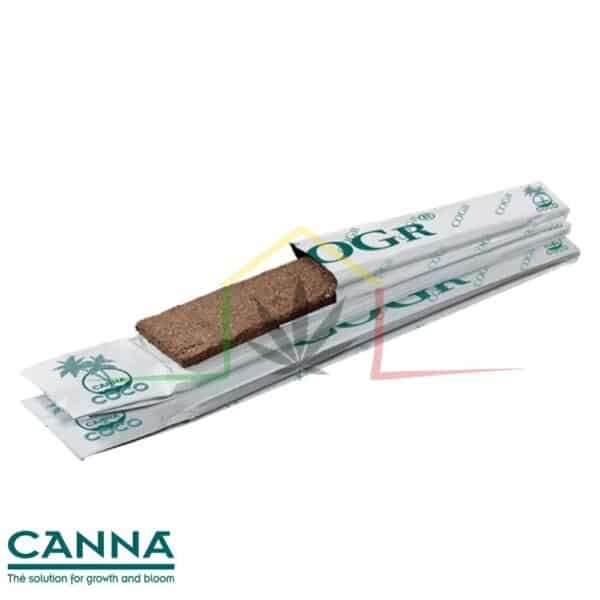 Canna COGr Planchas