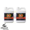 Connoisseur Bloom A+B de Advanced Nutrients