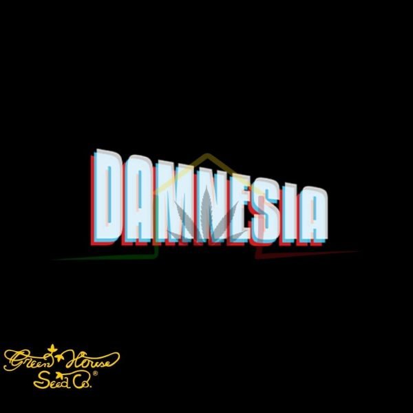 Damnesia Auto - Green House Seeds