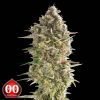 Do-Si-Dos Cookies - 00 Seeds