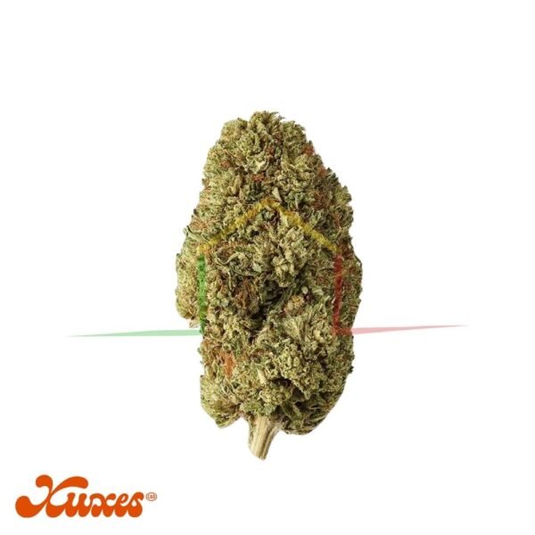flores cbd strawberry de xuxes