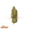 flores de Xuxes CBD Lemon