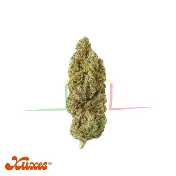 flores de Xuxes CBD Lemon