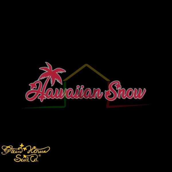 Hawaiian Snow - Green House Seeds