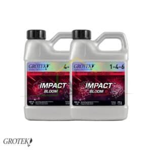 Impact Bloom A + B