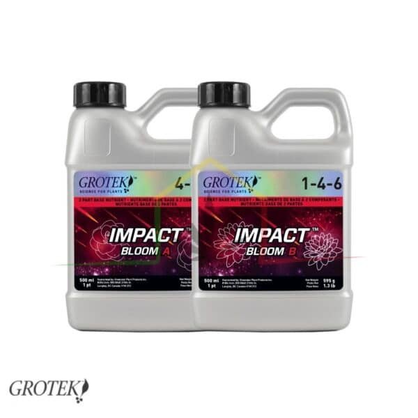Impact Bloom A + B