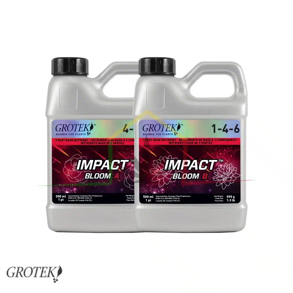 Impact Bloom A + B