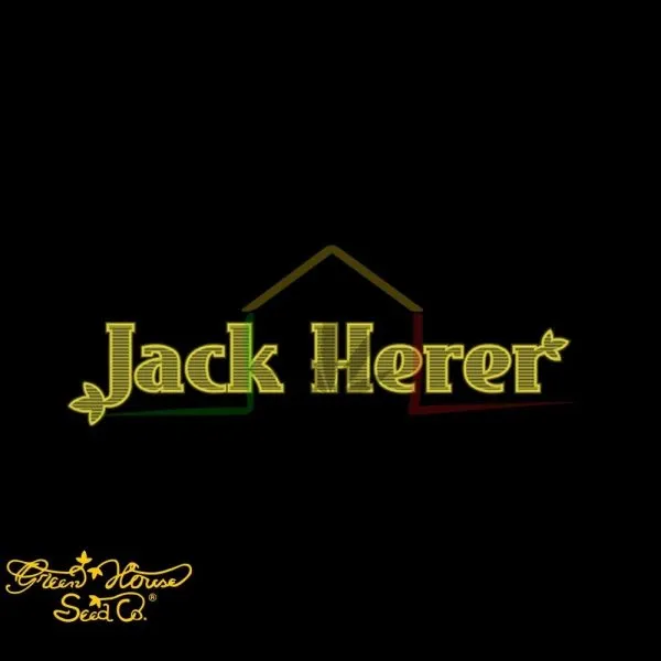 Jack Herer - Green House Seeds