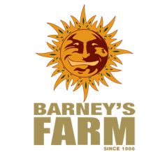 BARNEY'S FARM SEEDS