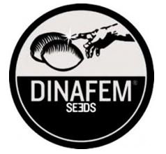 DINAFEM SEEDS