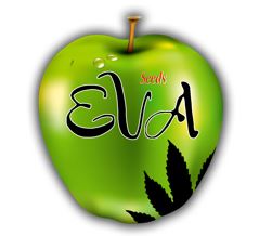 Eva Seeds logo