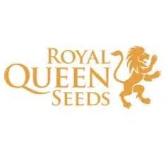 ROYAL QUEEN SEEDS
