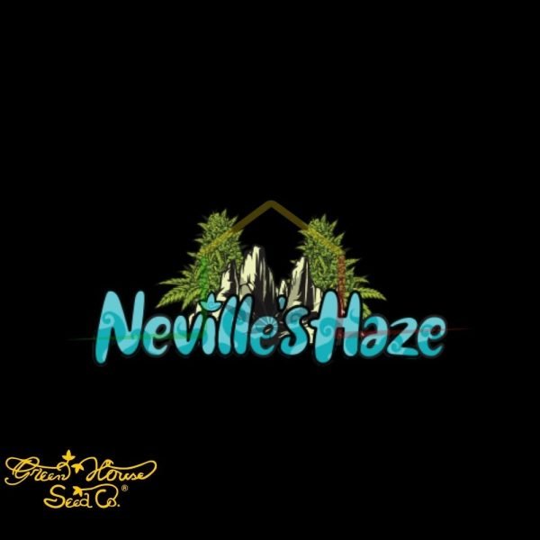 Neville's Haze - Green House Seeds