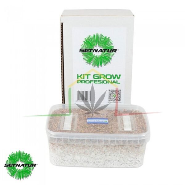 Kit pan de setas McKennaii