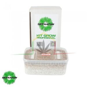 Kit pan de setas Mexicanas