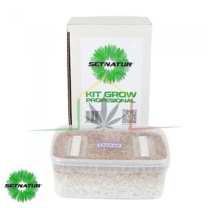 Kit pan de setas Tailandesas