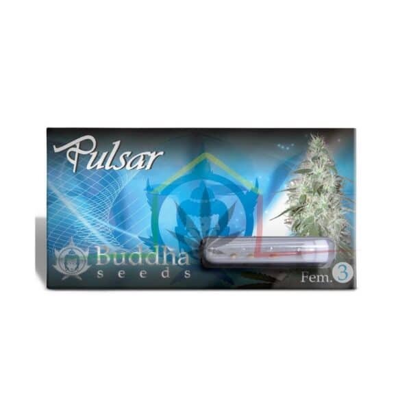 BUDDHA PULSAR PACK