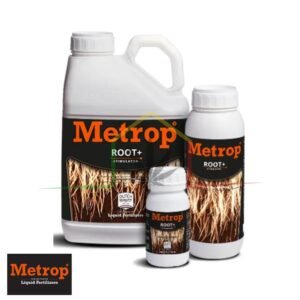 Root+ - Metrop