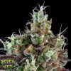 Sour Ripper - Ripper Seeds
