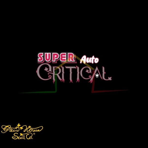 Super Critical Auto - Green House