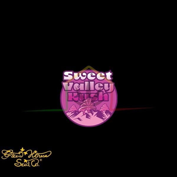 Sweet Valley Kush - Green House Seeds