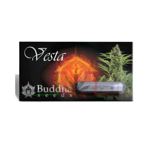 BUDDHA VESTA AUTO pack