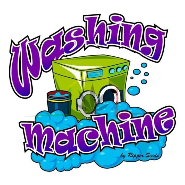Washing Machine - Ripper Seeds,