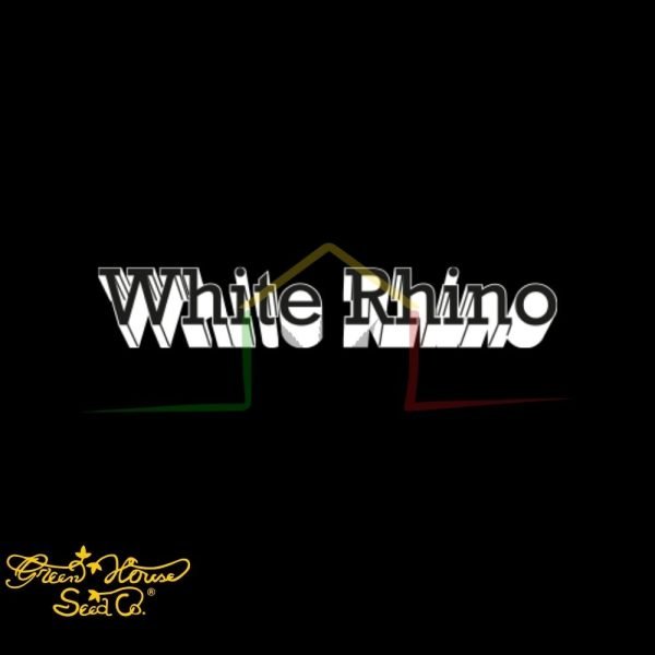 White Rhino - Green House Seeds