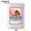 Advanced nutrients bud candy 20L