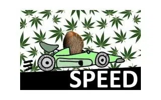 semillas de marihuana feminizadas
