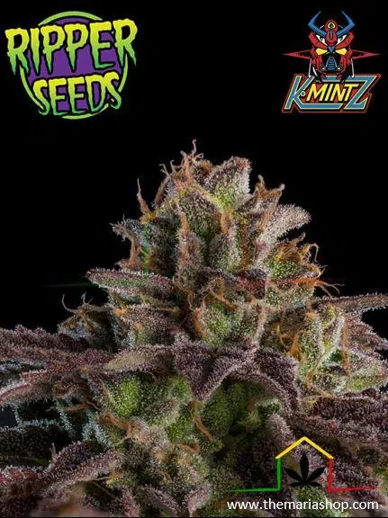 Kmintz Auto Ripper Seeds