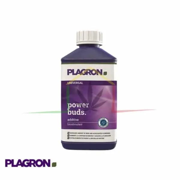 Power Buds 1L