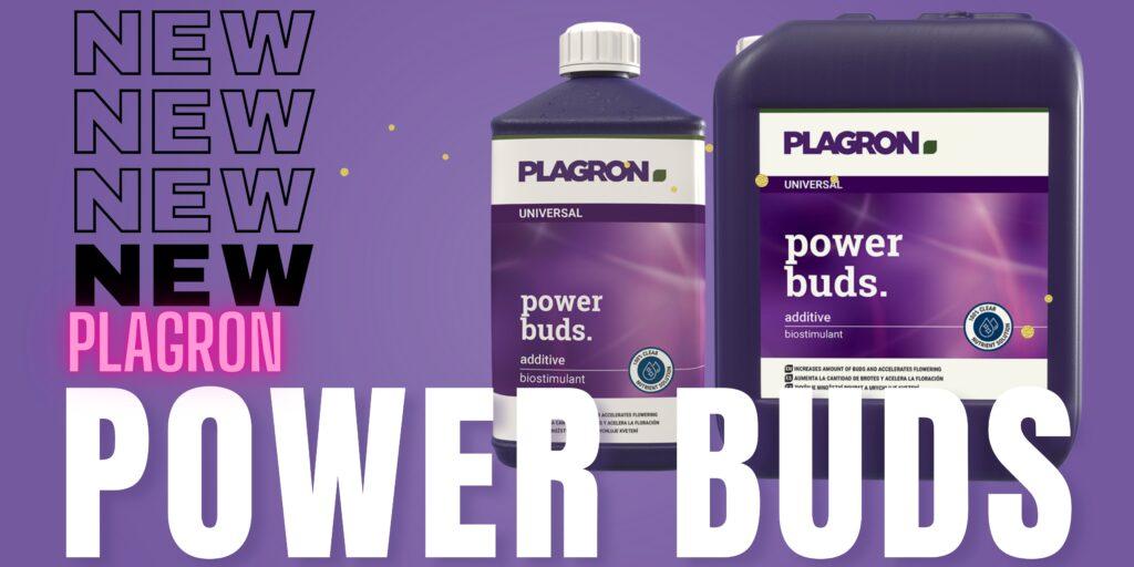 Power buds Plagron